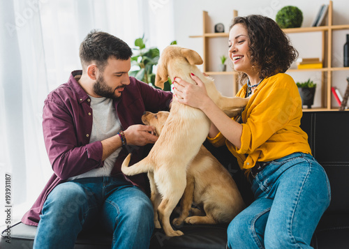 Photography Smiling couple sitting on sofa with two playful labrador puppies
