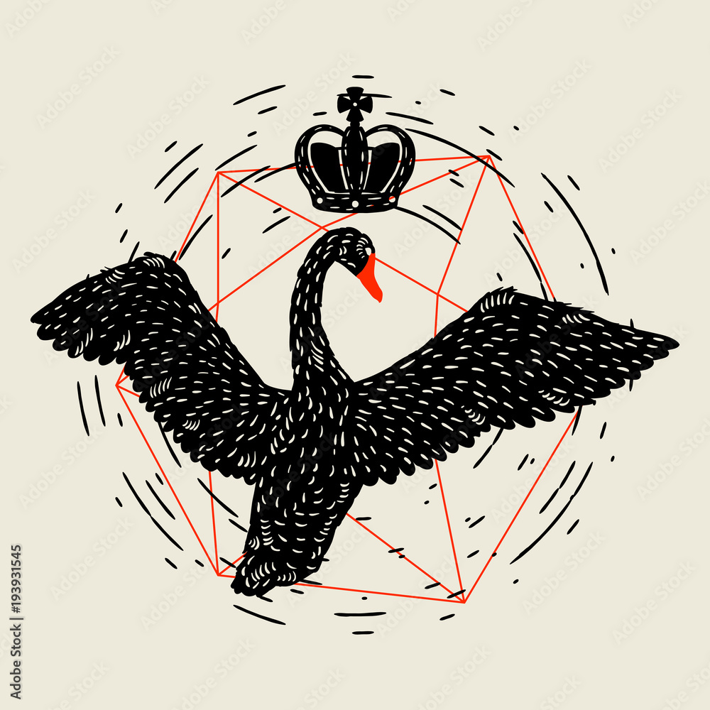 Fototapeta premium Background with flying black swan. Hand drawn bird