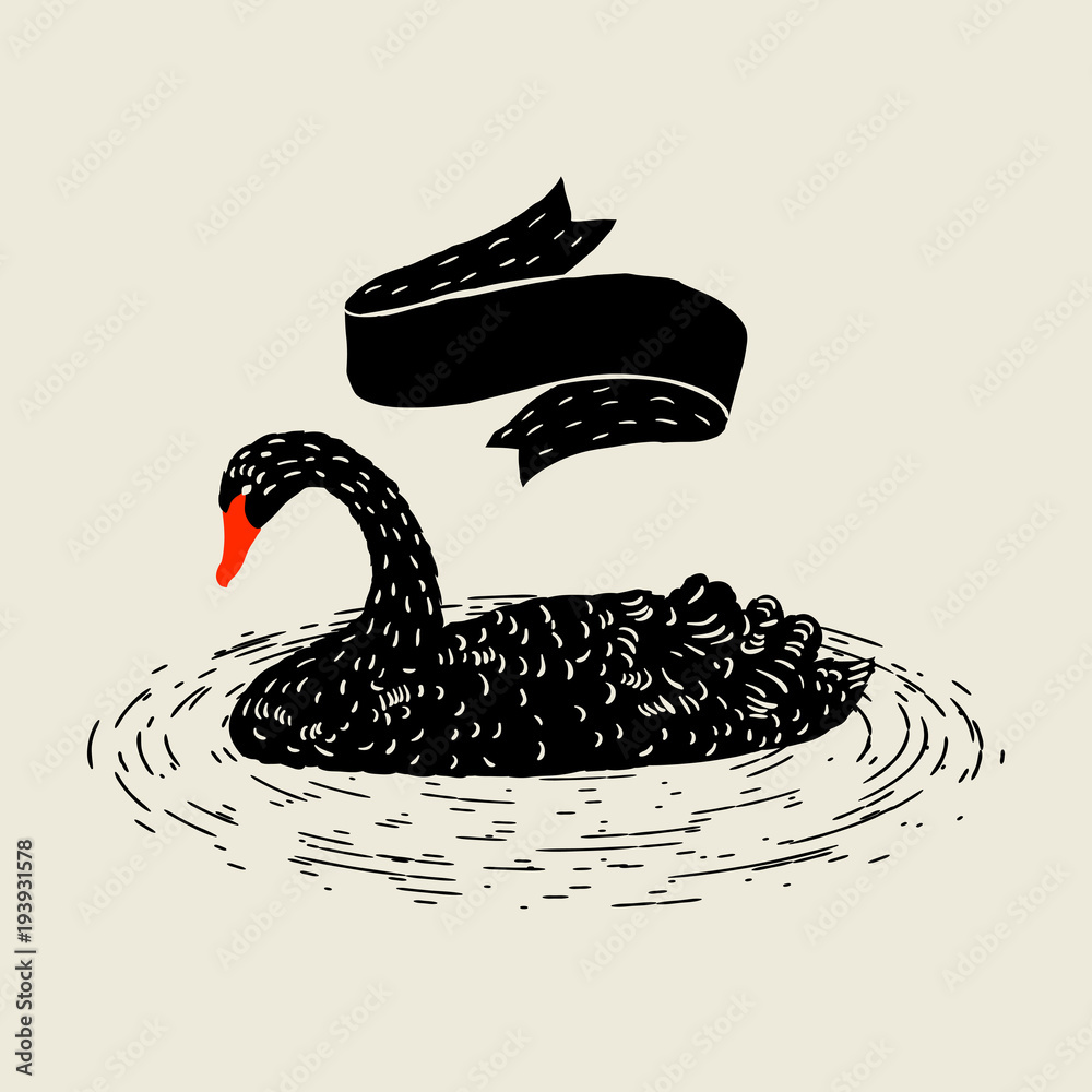 Fototapeta premium Background with floating black swan. Hand drawn bird