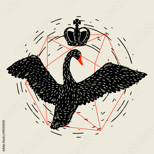 Background with flying black swan. Hand drawn bird