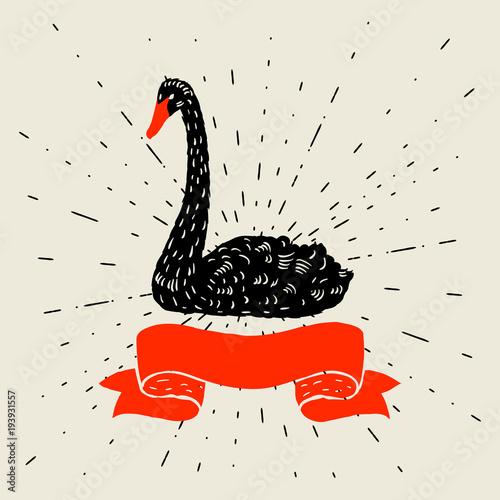 Background with floating black swan. Hand drawn bird