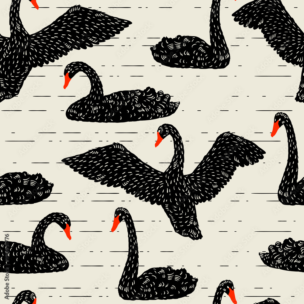 Obraz premium Wzór z pływających czarnych łabędzi. Ręcznie rysowane ptaki