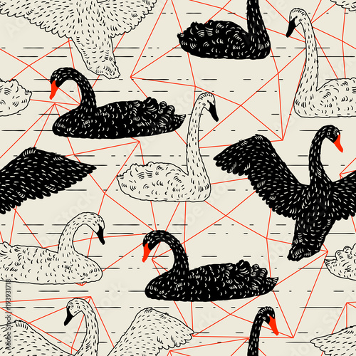 Seamless pattern with floating black and white swans. Hand drawn birds