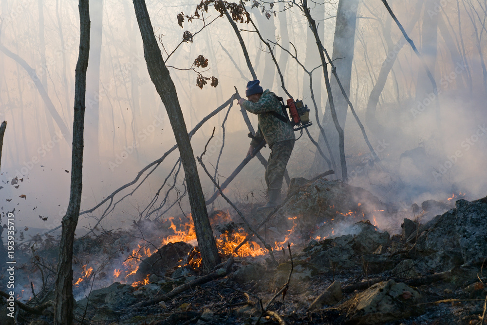 Fotografie Suppression of Forest Fire 19