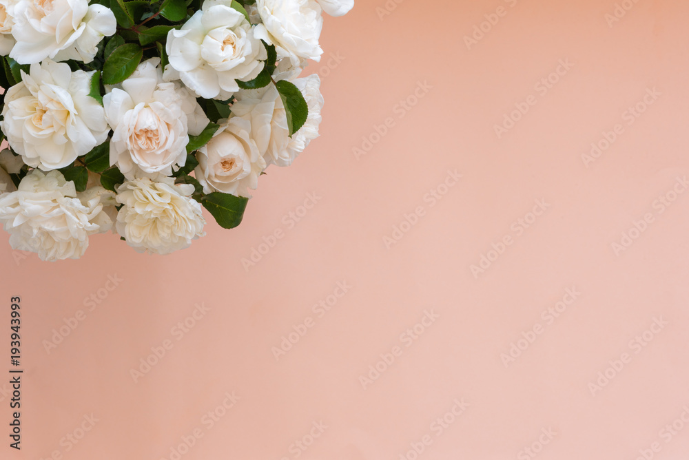High angle view of bouquet of cream English roses over apricot background with copy space (selective focus)