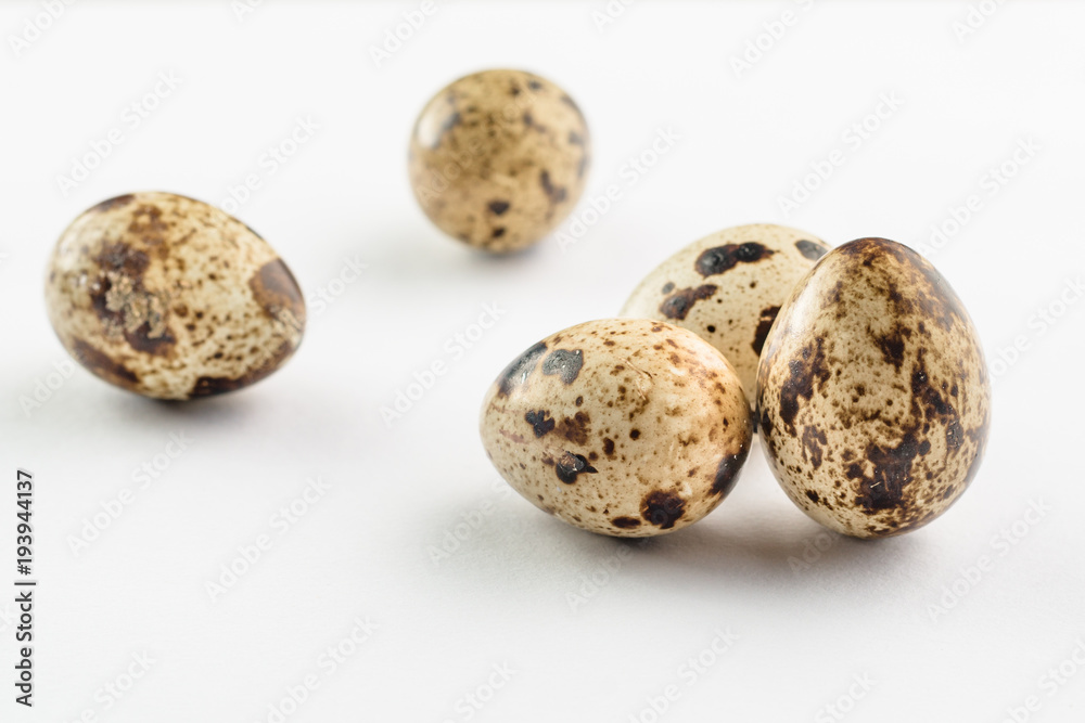 Quail eggs on white background. Organic product. Quail eggs on white background. Organic product.