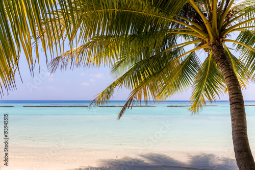 Blue lagoon and tropical island in Maldives © Maciej Czekajewski
