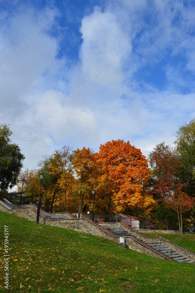 Naklejka premium autumn day