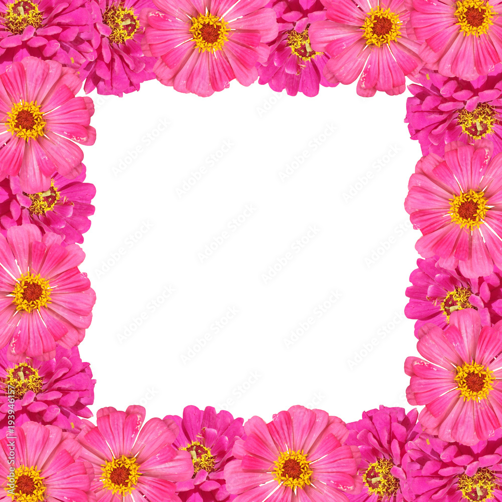 Beautiful flower frame with pink tsiny 