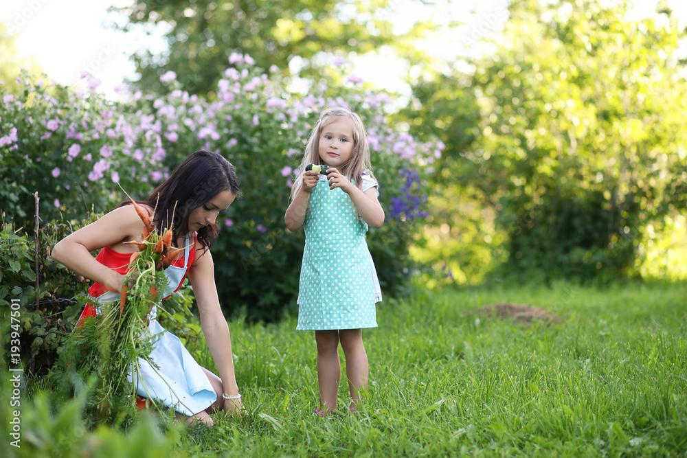 Vegetable garden - lovely gardener with bunch of carrot Vegetable garden - lovely gardener with bunch of carrot