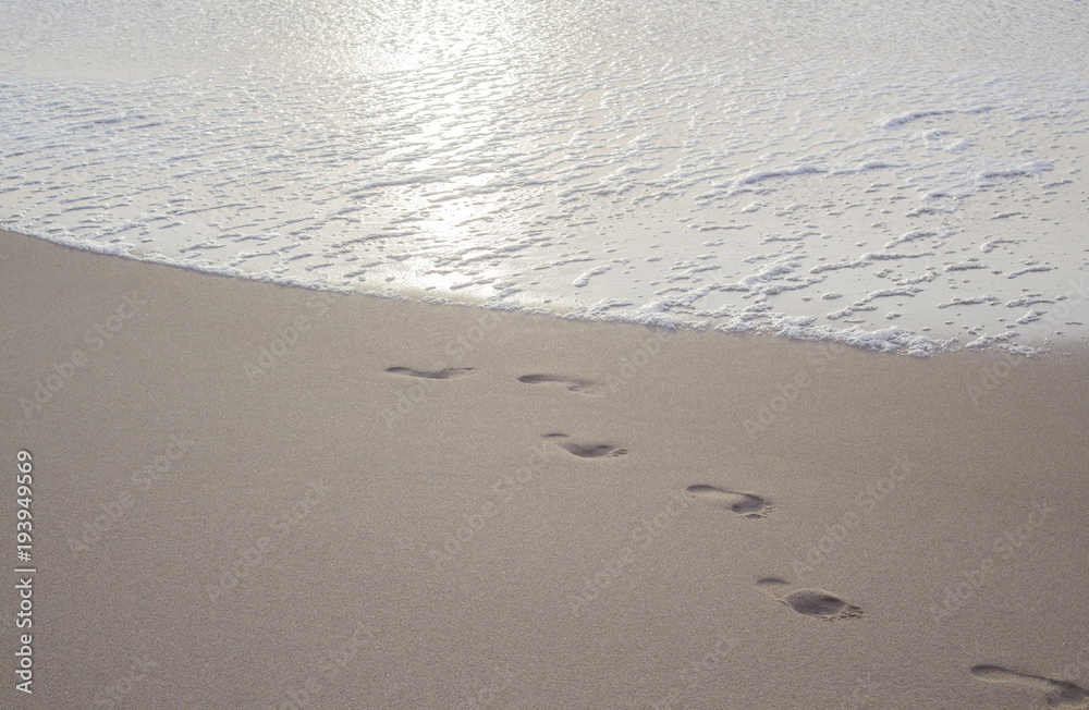 footprints imprinted on the sand coming out of the ocean footprints imprinted on the sand coming out of the ocean