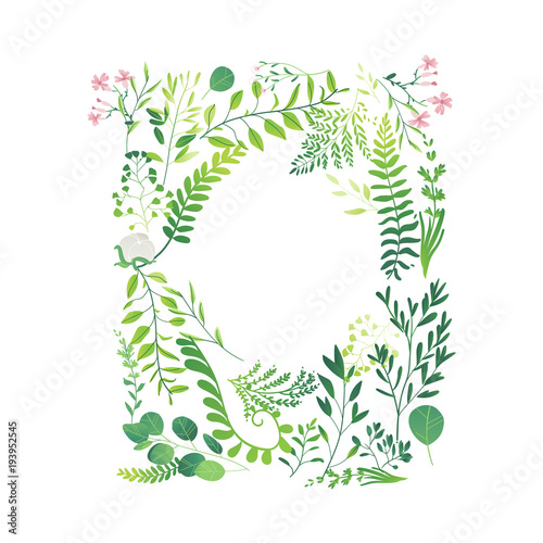 Vector cartoon abstract green plants flower herbs frame template. Meadow garden spring easter, women day romantic holiday, wedding invitation card summer floral Illustration white background