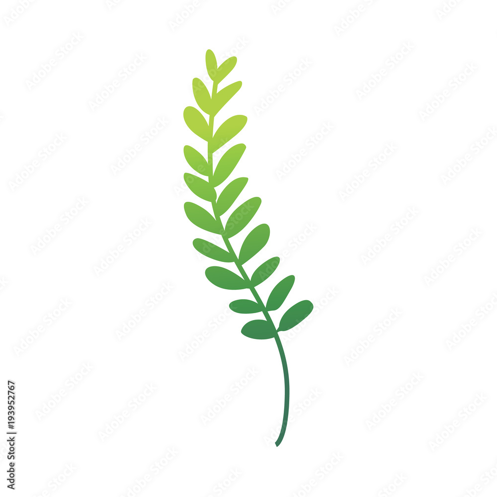 Vector flat abstract green fern plant icon. Wild meadow field grass garden spring easter, women day romantic holiday, wedding invitation card decoration summer floral Illustration white background Vector flat abstract green fern plant icon. Wild meadow field grass garden spring easter, women day romantic holiday, wedding invitation card decoration summer floral Illustration white background