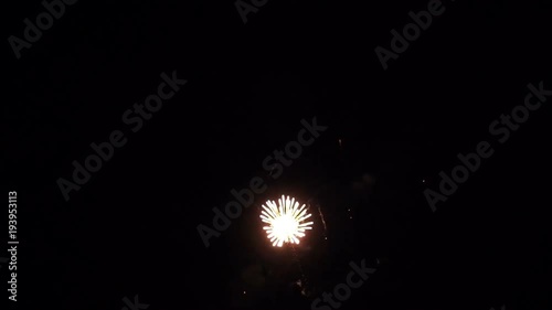 Holiday Fireworks in the Night Sky