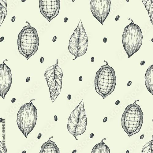 Cocoa beans vector seamless pattern. Engraved vintage style illustration. Chocolate cocoa beans.