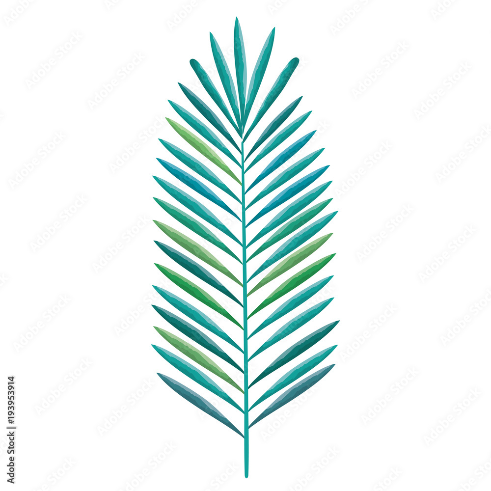 Fototapeta premium tropical leaf palm icon vector illustration design