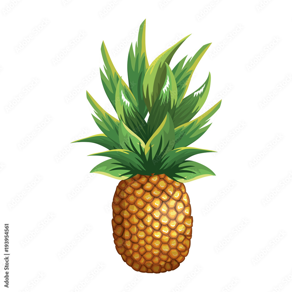 Fototapeta premium tropical and exotic fruit vector illustration design