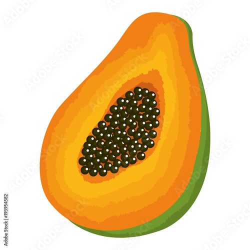tropical and exotic papaya fruit vector illustration design