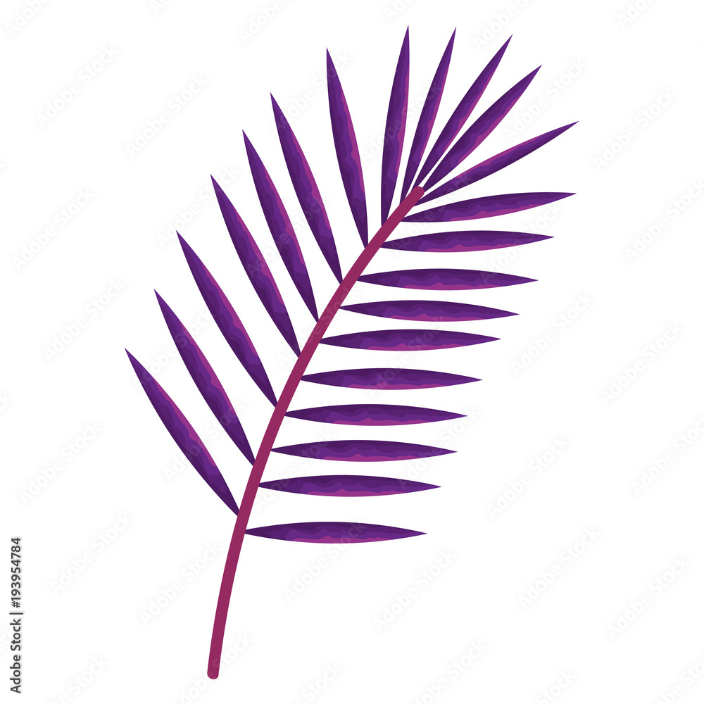tropical leaf palm icon vector illustration design