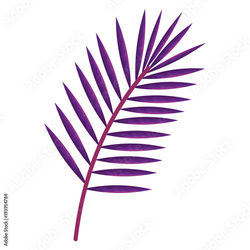 tropical leaf palm icon vector illustration design
