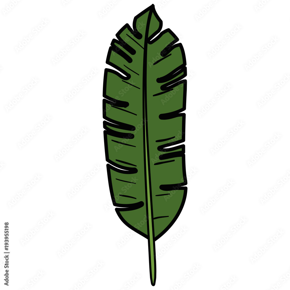 tropical leaf palm icon vector illustration design tropical leaf palm icon vector illustration design