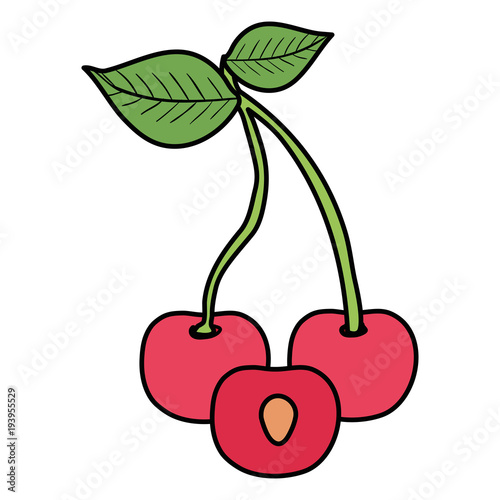 delicious cherry isolated icon vector illustration design