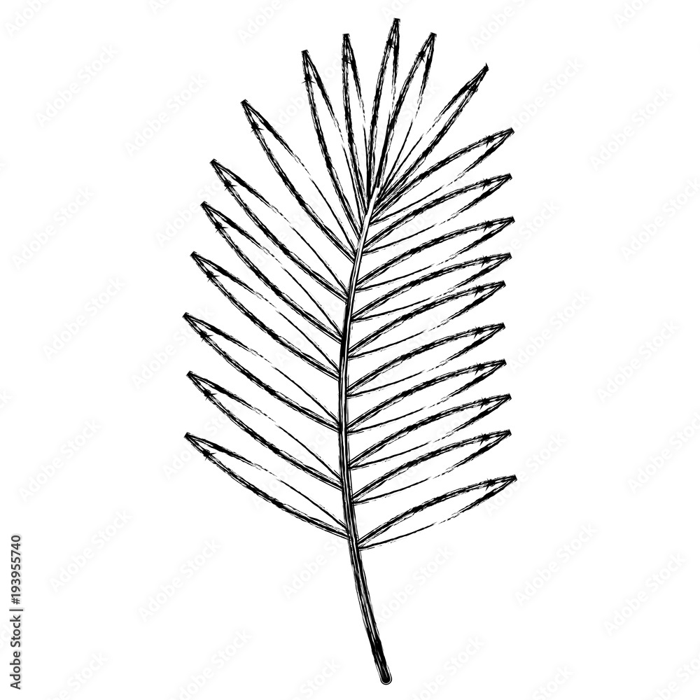 tropical leaf palm icon vector illustration design tropical leaf palm icon vector illustration design
