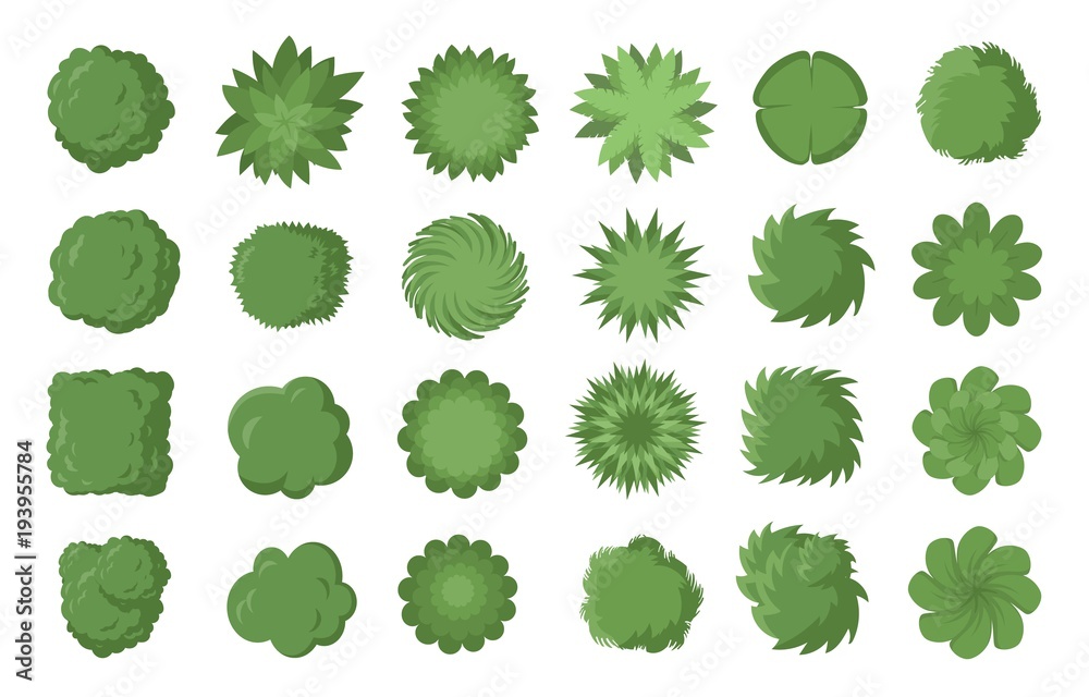 Various green trees, bushes and shrubs, top view for landscape design plan. Vector illustration, isolated on white background.