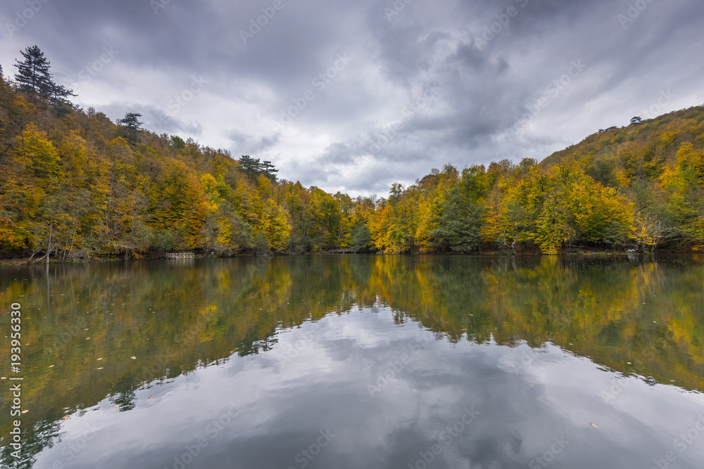 Fototapeta premium Beautiful Nature with Autumn Colors