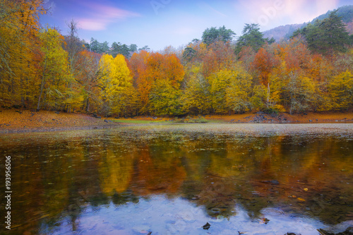 Fototapeta Naklejka Na Ścianę i Meble -  Beautiful Nature with Autumn Colors