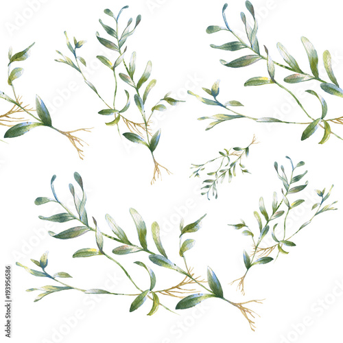 Watercolor illustration of leaf, seamless pattern on white background