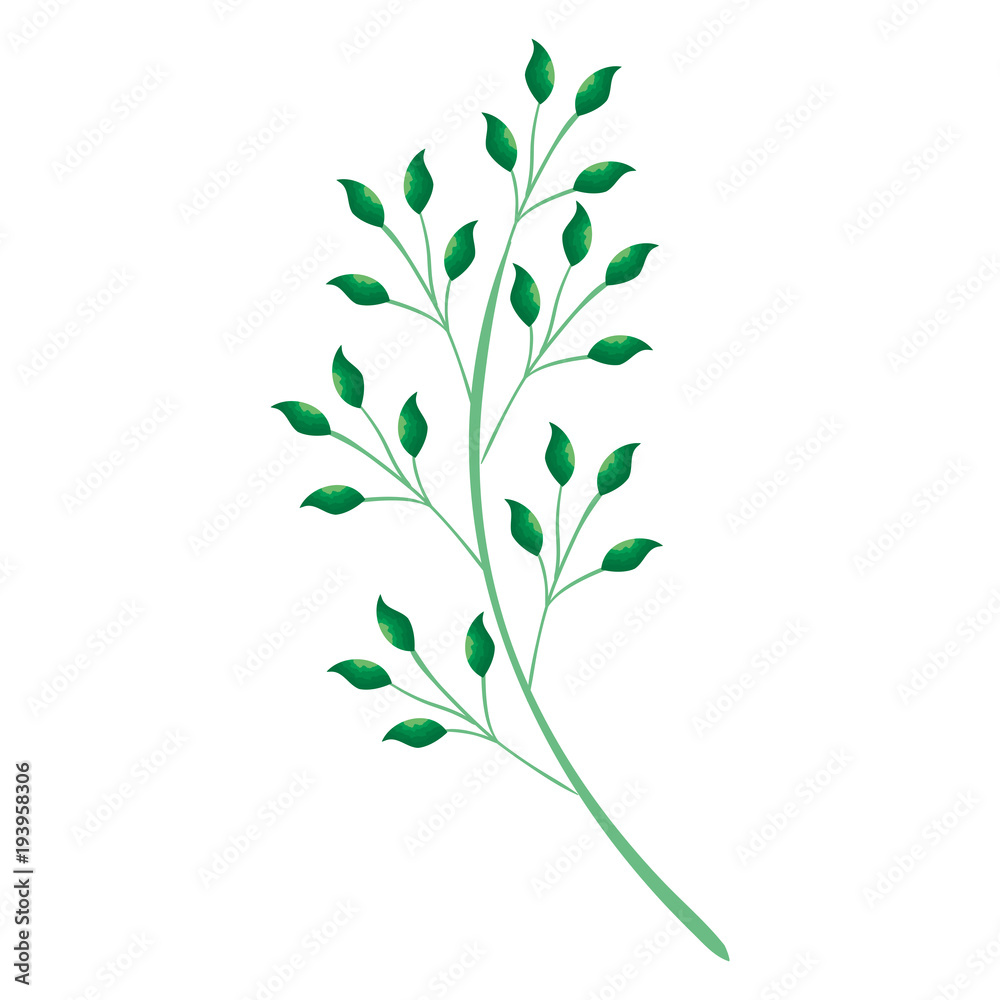 Naklejka premium branch with leafs plant ecology icon vector illustration design