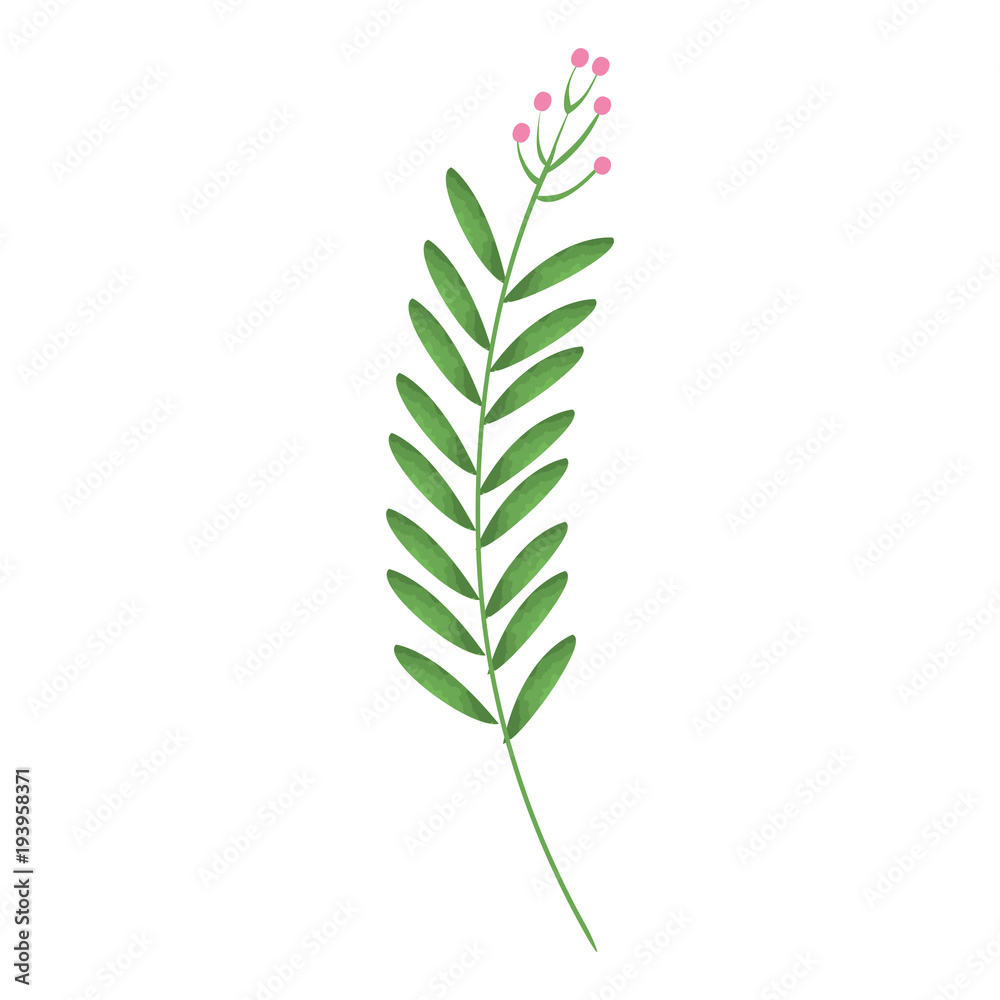 tropical leaf palm icon vector illustration design tropical leaf palm icon vector illustration design