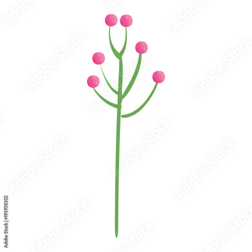 branch with leafs plant ecology icon vector illustration design