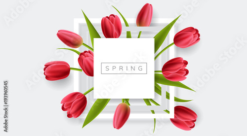 White frame with red tulip flower and green leaf. Realistic vector illustration for spring and nature design, banner with square frame