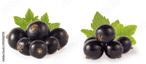 Set of blackcurrant isolated on white. Ripe and tasty black berry with copy space for text. Currant on a white background.