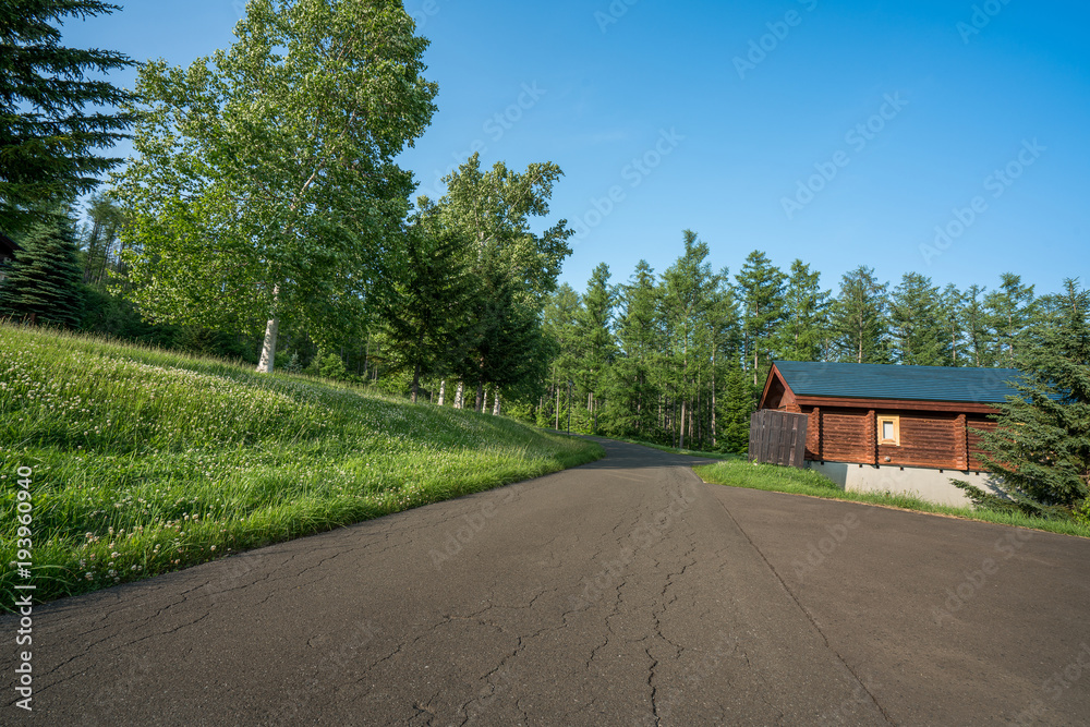 House Road Natural Landscape