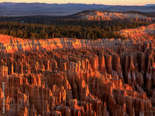 Bryce Canyon National Park in the Morning Sunrise, Utah