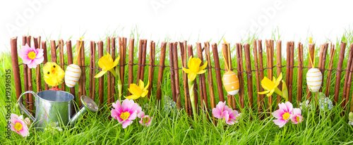 Ostern, Banner, Hintergrund -- Blumenwiese mit Holzzaun, Küken, Blumen und Gießkanne