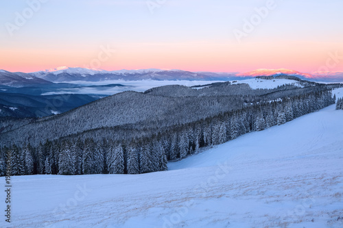 From the lawn, covered with snow, a panoramic view of the covered with frost trees, fog, tall, steep mountains, an interesting sunrise with a pink sky.
