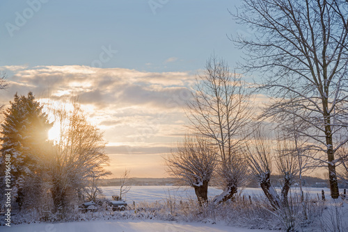 sunrise on a beautiful winter morning in the countryside, rural landscape with bare trees in the snow, copy space