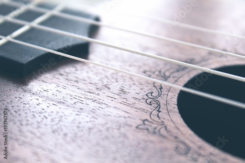 Ukulele guitar strings photo