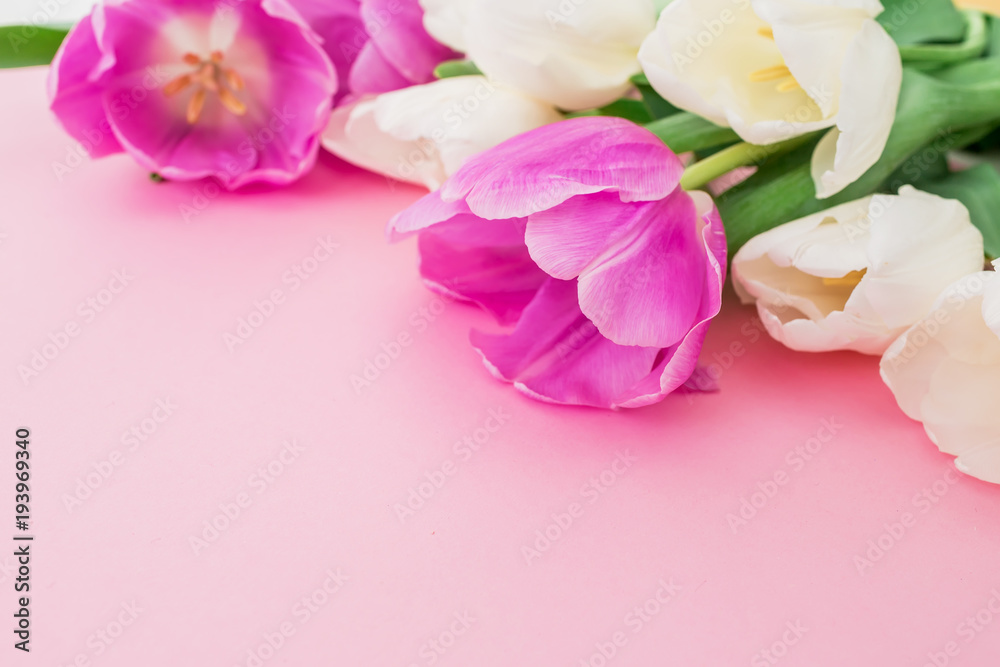 Tulips bouquet on pastel background. Closeup view. Floral background. Tulips bouquet on pastel background. Closeup view. Floral background.