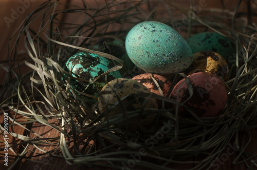 Quail eggs. Painted eggs for Easter. Colorful still lifes. photo