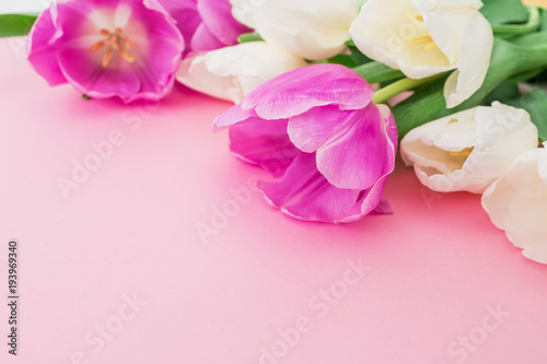 Tulips bouquet on pastel background. Closeup view. Floral background. © artifirsov