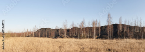 Terril with birch trees of a closed colliery photo