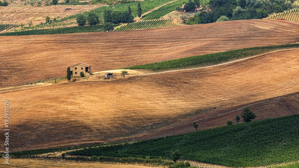 Fototapeta premium Summer landscape near Montepulciano