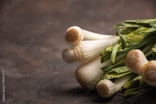Bunch of garlic recently collected. i