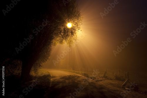 Typical flemish countryside road at night with intense fog scattering the light of a streetlight.