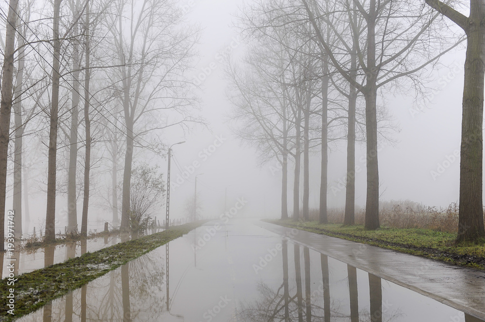 Flooded road with trees reflecting after floodings of the Dender river at Provinciaal domein de Gavers in Geraardsbergen